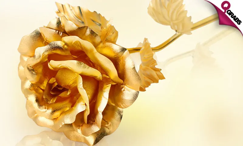 24K Gold-Plated Foil Roses + FREE 3 Roses & Teddy Bear Set!